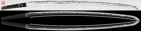 26162s